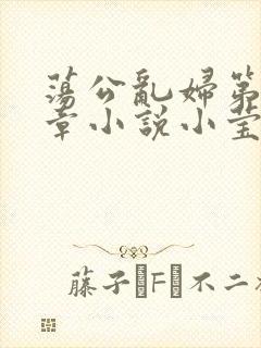 荡公乱妇第51章小说小莹封面