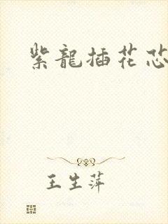 紫龙插花芯方正