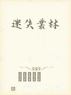 迷失丛林封面