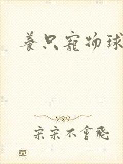 养只宠物球