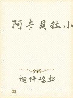阿卡贝拉小说