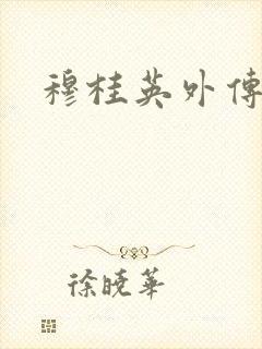 穆桂英外传