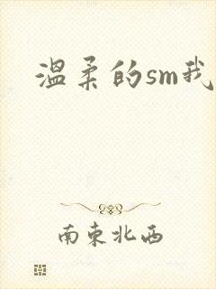 温柔的sm我