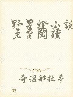 野星灯小说全文免费阅读