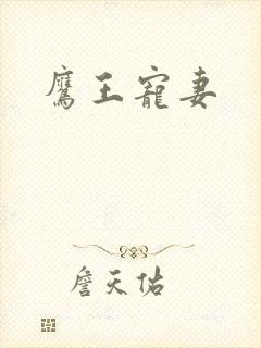 鹰王宠妻