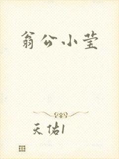 翁公小莹
