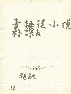 青梅从小摸到大补课h