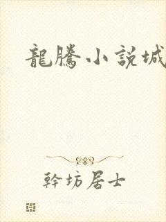 龙腾小说城封面