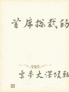 首席总裁的逃妻封面