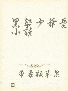 黑帮少爷爱上我小说