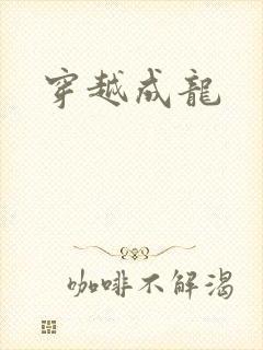 穿越成龙封面
