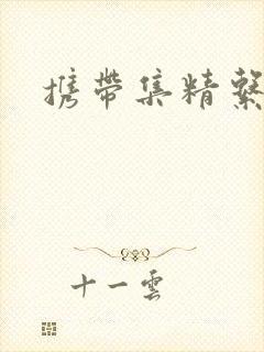 携带集精系统