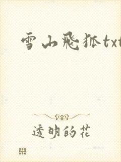 雪山飞狐txt