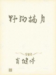 野狗摘月封面