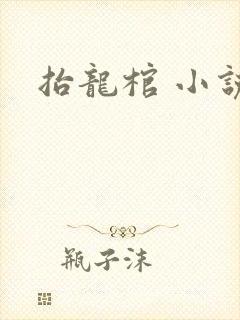 抬龙棺 小说