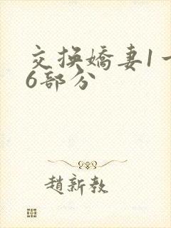 交换娇妻1一36部分