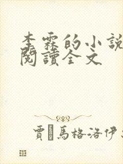 李霖的小说免费阅读全文