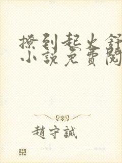 撩到起火舒漾的小说免费阅读全文封面