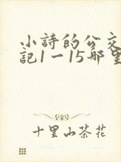 小诗的公交车日记1一15哪里能看