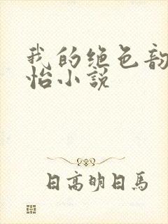我的绝色韵母郑怡小说