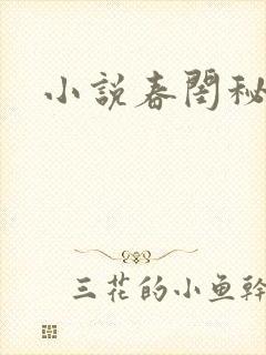 小说春闺秘史封面