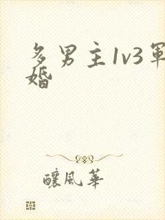 多男主1v3军婚封面