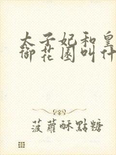 太子妃和皇帝在御花园叫什么小说