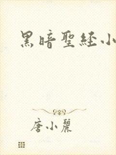 黑暗圣经小说