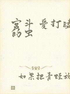 宫斗 爱打瞌睡的虫