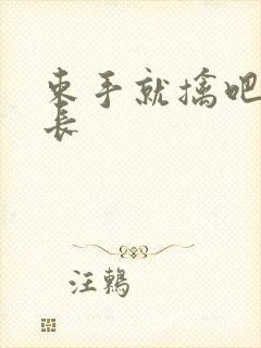 束手就擒吧韩队长