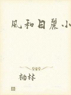 风和日丽小说