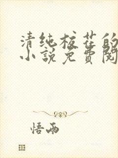 清纯校花的秘密小说免费阅读