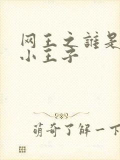 网王之谁是我的小王子封面
