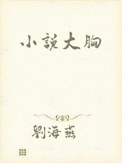 小说大胸