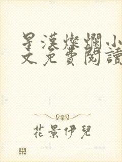 星汉灿烂小说全文免费阅读封面