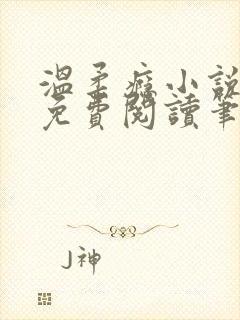 温柔瘾小说全文免费阅读笔趣阁
