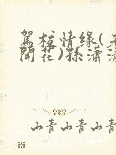 驾校情缘(老树开花)孙潇潇笔趣阁