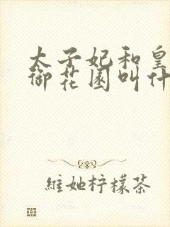 太子妃和皇帝在御花园叫什么小说
