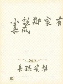 小说邻家有女初长成封面