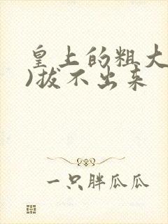 皇上的粗大(h)拔不出来封面