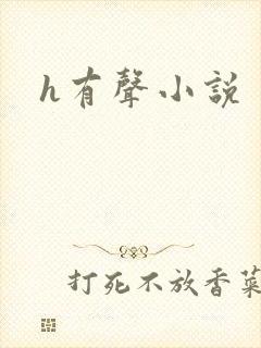 h有声小说