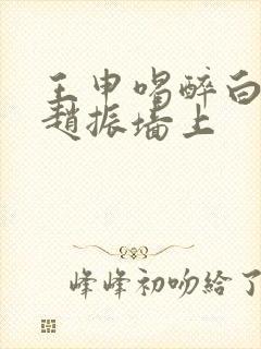 王申喝醉白洁被赵振墙上
