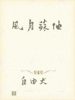 风月苏他
