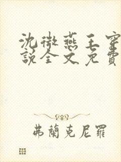 沈微燕王穿越小说全文免费阅读