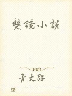 双镜小说