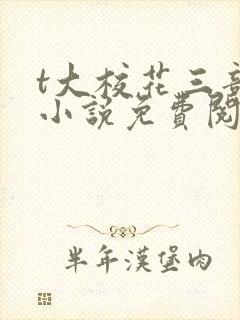 t大校花三部曲小说免费阅读全文