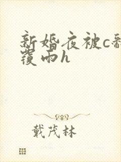 新婚夜被c翻云覆雨h