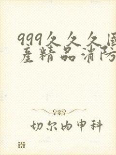 999久久久国产精品消防器材封面