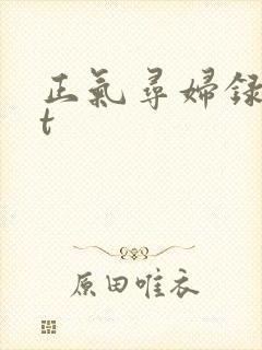 正气寻妇录txt