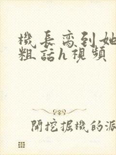 机长脔到她哭h粗话h视频封面